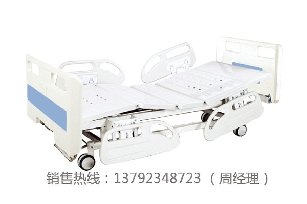 LK-A2 双摇护理床