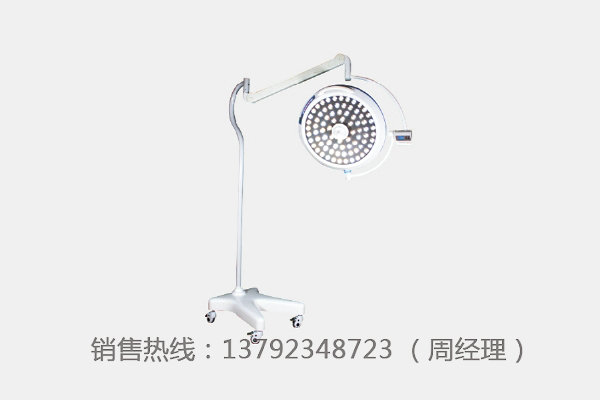 LK/LED--700型（移动式）