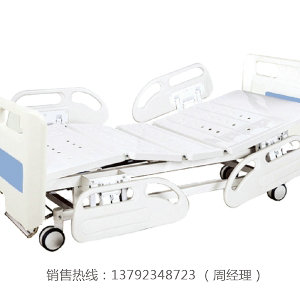 LK-A2 双摇护理床