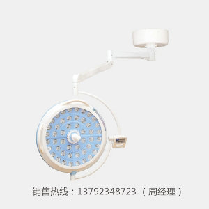 LK/LED--700（大灯珠）型